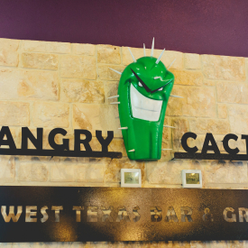 ANGRYCACTUS-0009